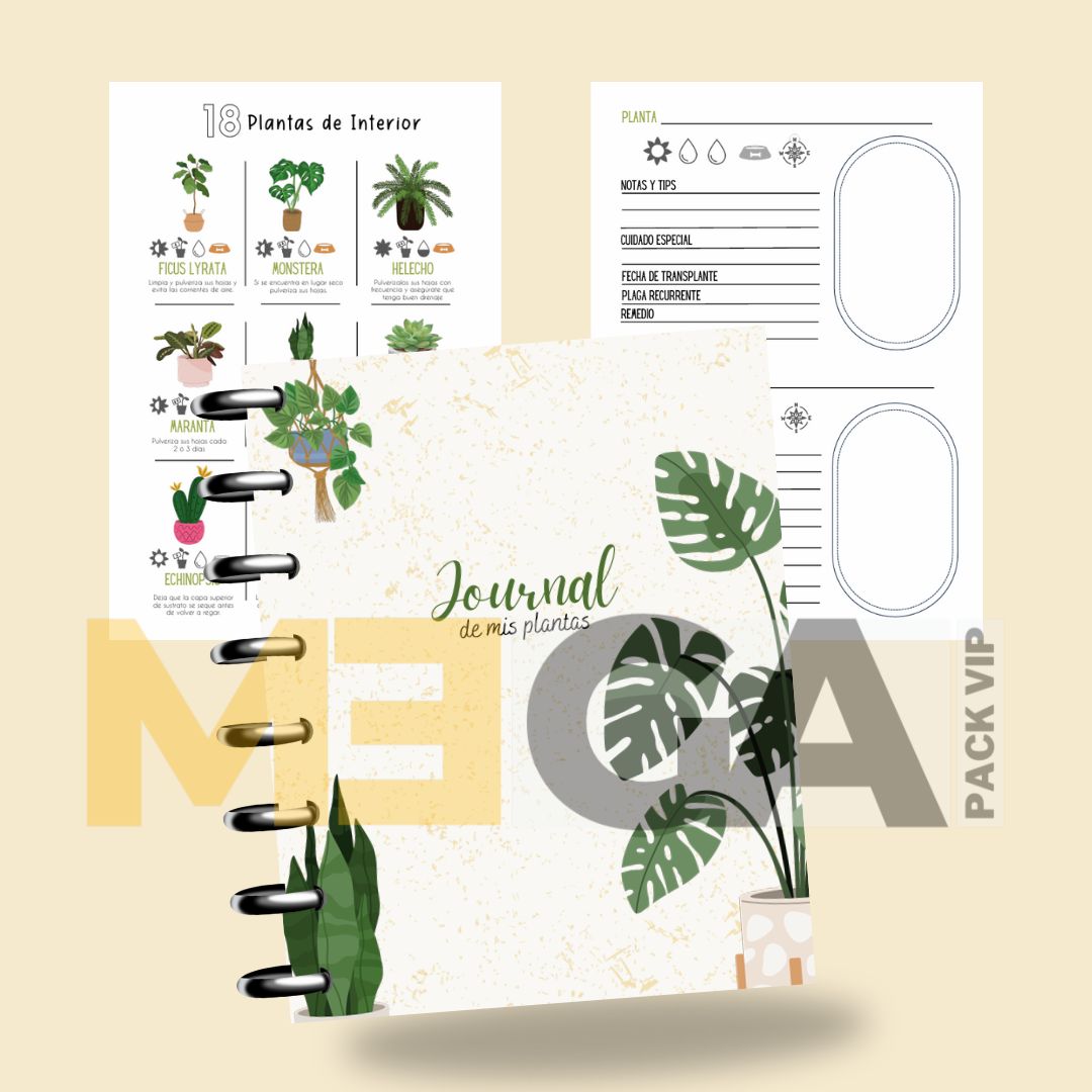 MOCKUP AGENDAS 202526 (45)