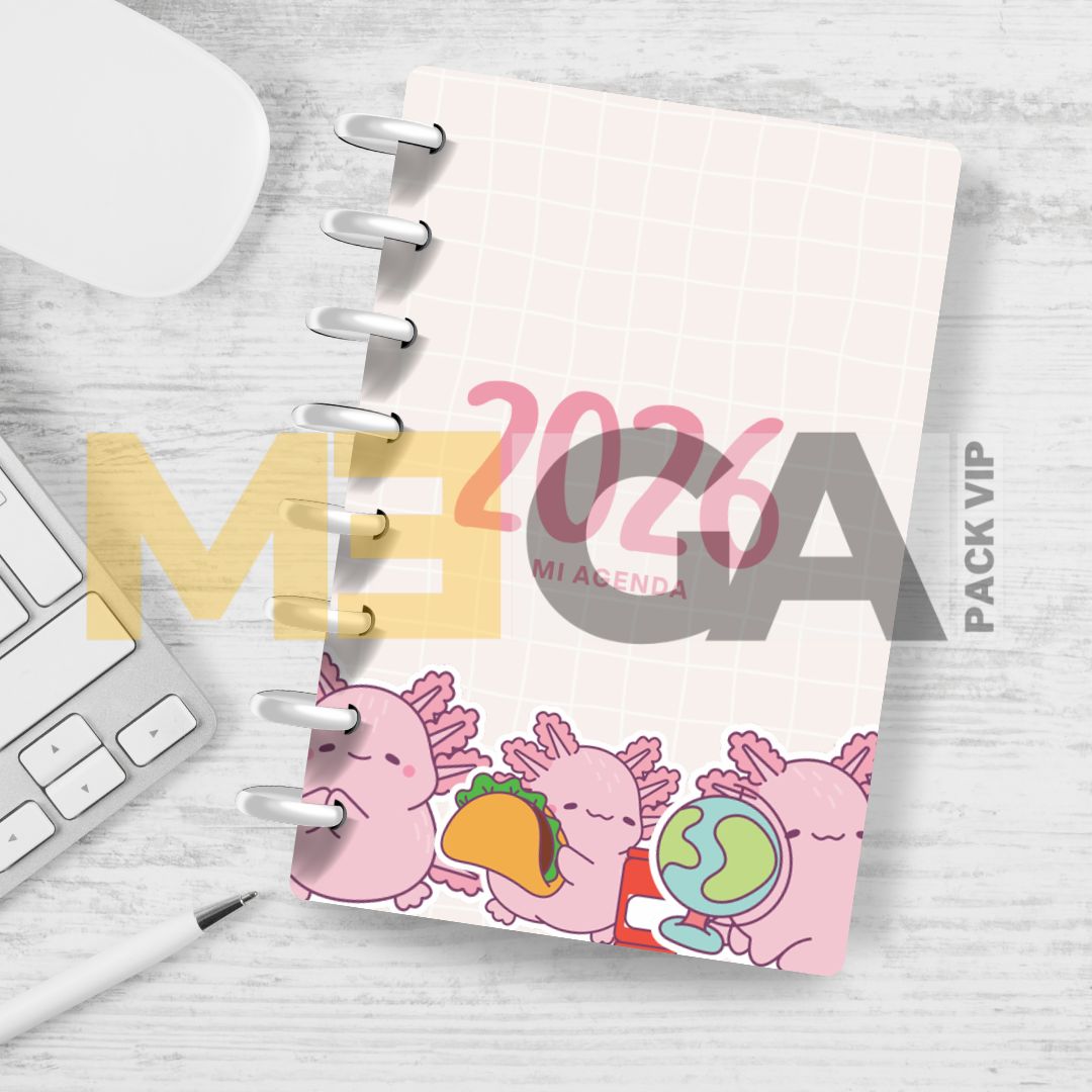 MOCKUP AGENDAS 202526 (70)