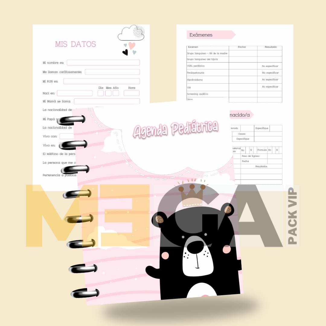 MOCKUP AGENDAS 202526 (85)