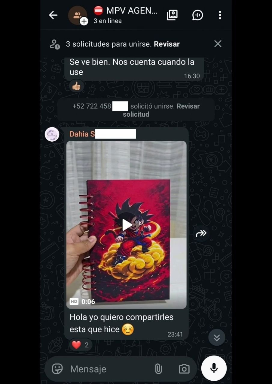 grupo vip