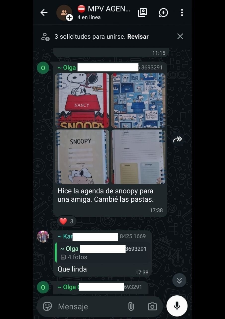 grupo vip2